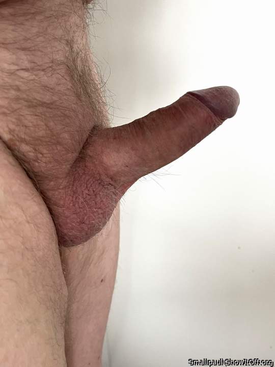 An attractive hairy dick 