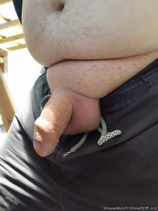 Photo of a python from shaved6inch