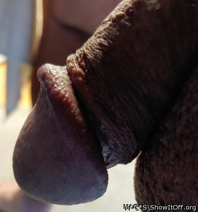 Photo of a penis from M*C*S