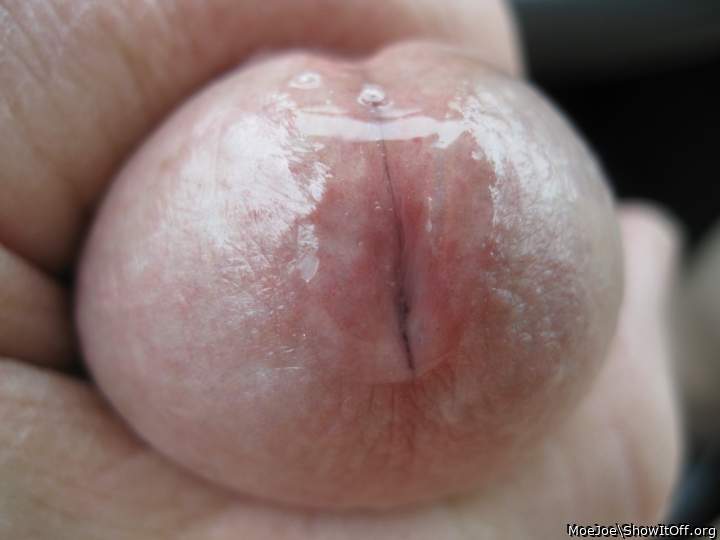 From the Archives: Pre-cum head