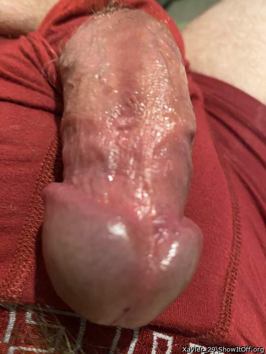 Adult image from Xavier_29