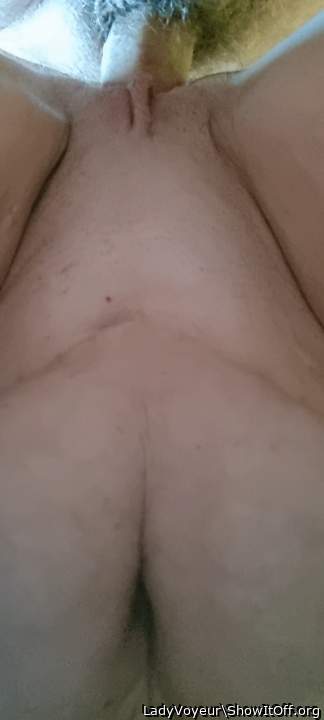 Photo of fuzz box from LadyVoyeur