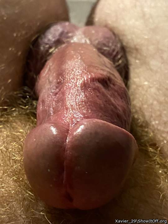 Adult image from Xavier_29