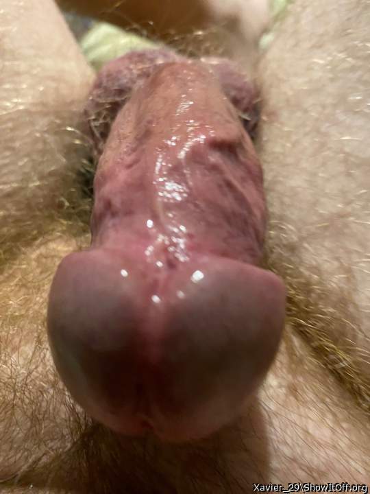 Adult image from Xavier_29