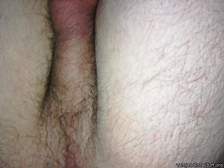 Photo of a penis from FagExposureBln