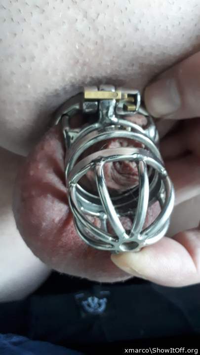 i want to uncage you and get you in my mouth   