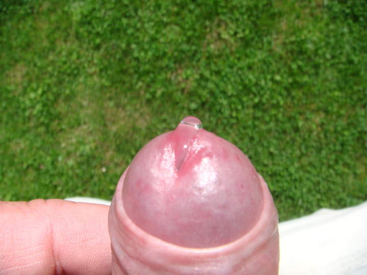 Photo of a phallus from sivad666