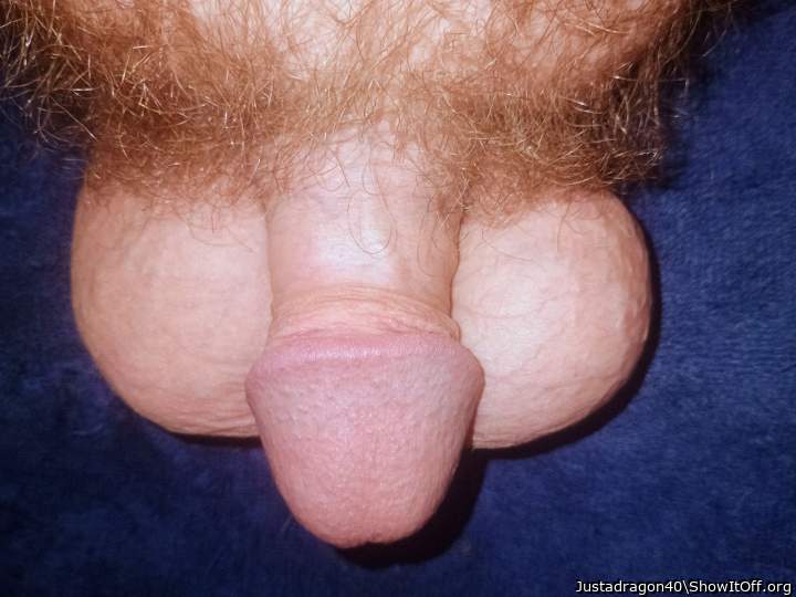 Adult image from Justadragon40