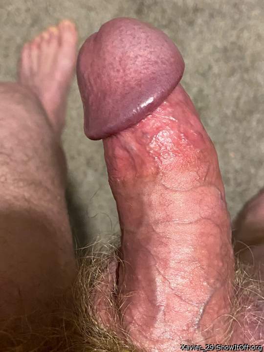 Adult image from Xavier_29