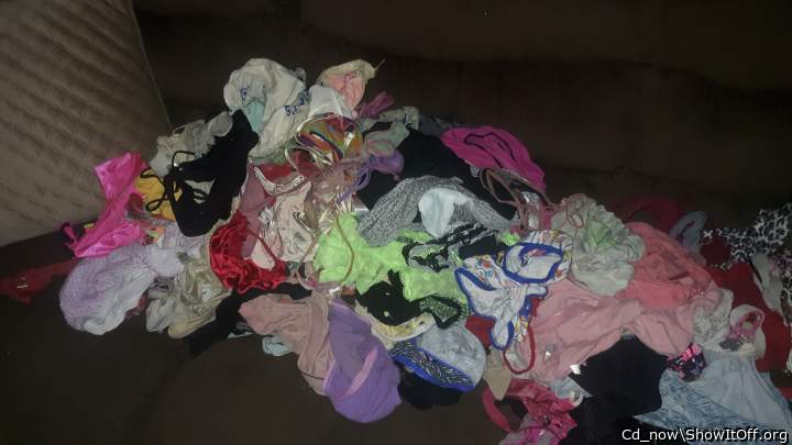 My. Collection of panties... borrowed almost all from women I know