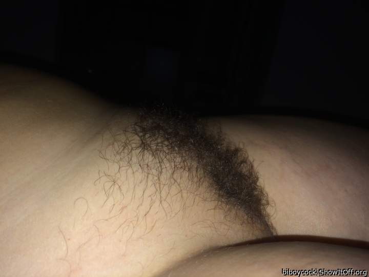 My Chubby Hairy wife..
