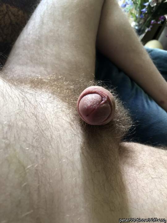     hot pubes and cock
