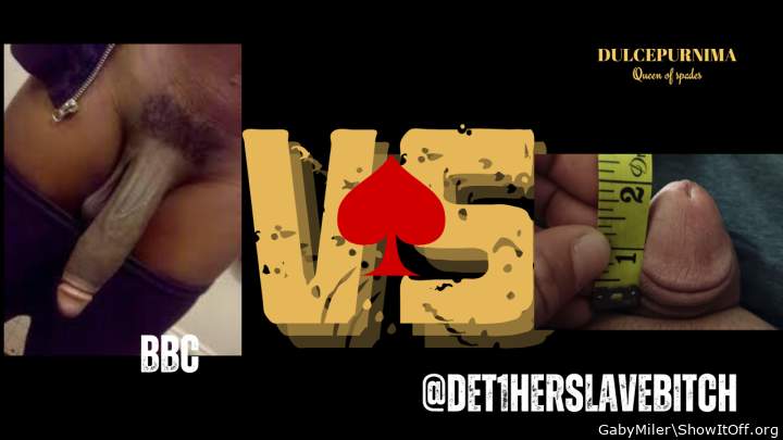 What cock would you choose?