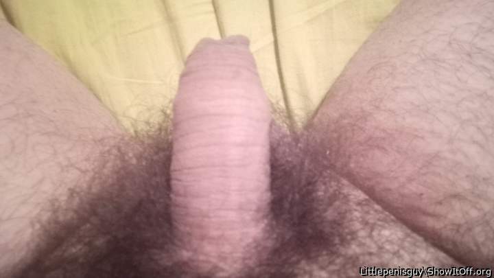 My little limp cock