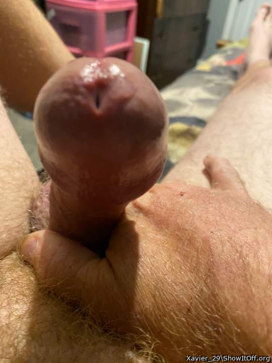 Adult image from Xavier_29