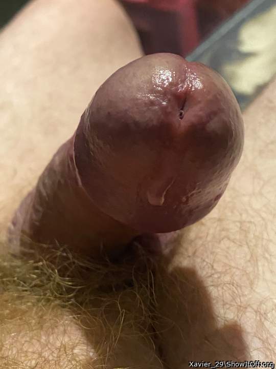 Adult image from Xavier_29