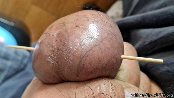 Testicles Photo from caliber