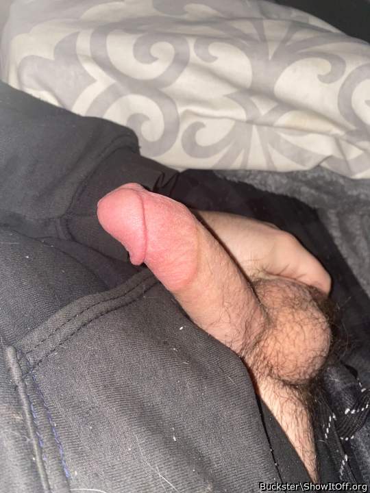 Photo of a penis from Buckster