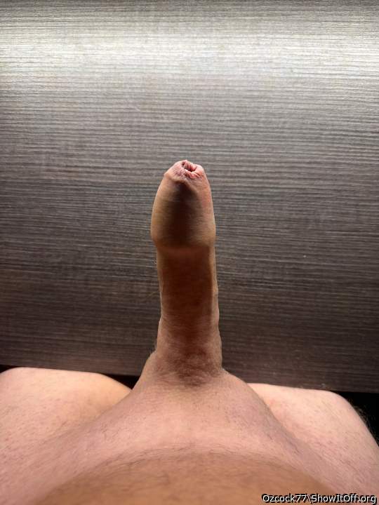 Freshly shaved. Who wants a play