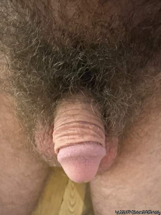 Adult image from La32HT