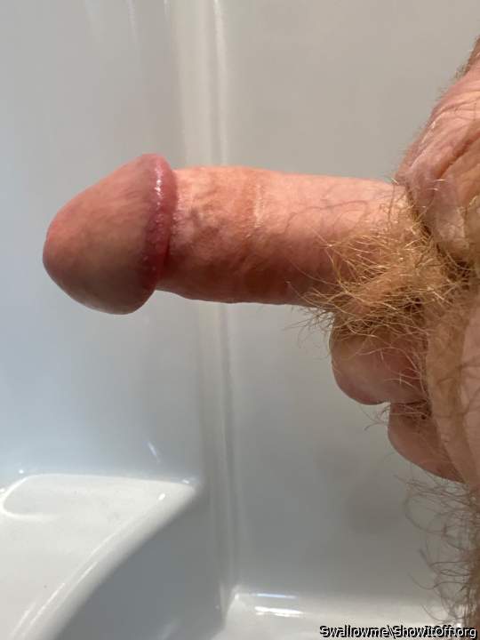 Holy fuck your dick is beautiful