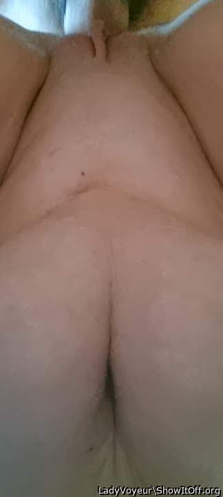 Photo of muff pie from LadyVoyeur