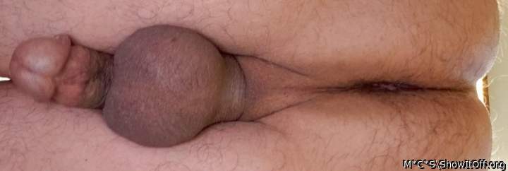 VERY NICE VIEWING ANGLE OF THE MALE PENIS   SHOWS IT ALL  