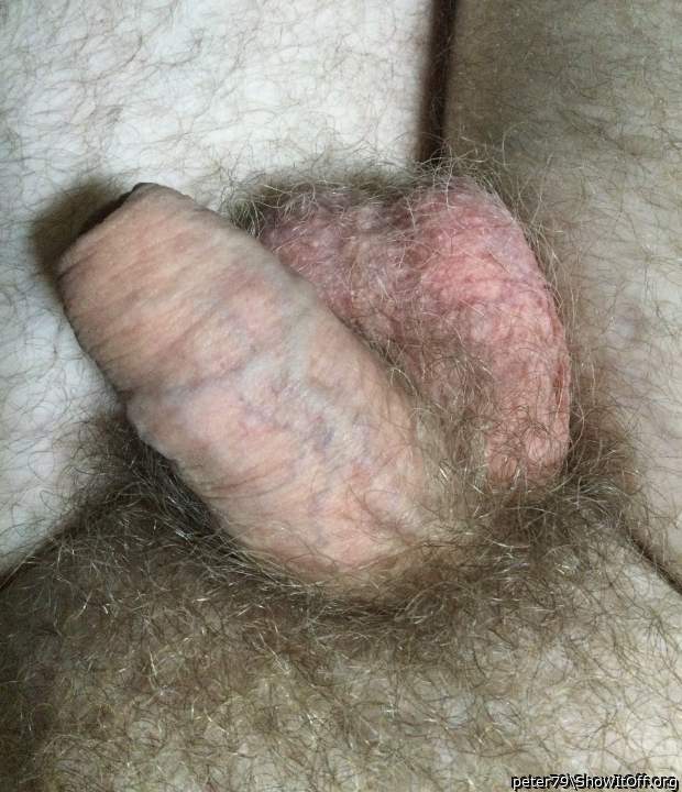Beautiful cock - hairy & uncircumcised 