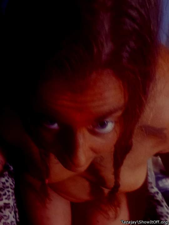 Adult image from Tazajay