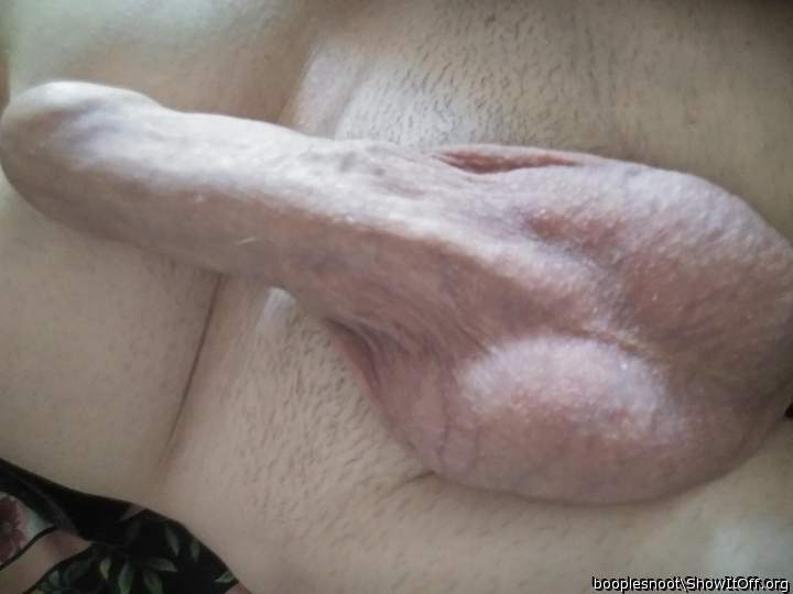 Very puffy and hard your cock is Booplesnoot...!! mmm, mmm..