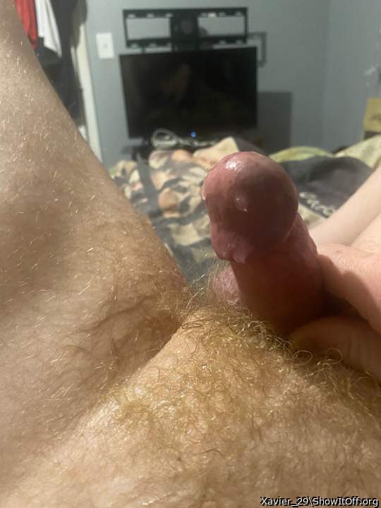 Adult image from Xavier_29