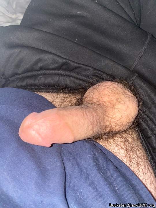 Photo of a penile from Buckster