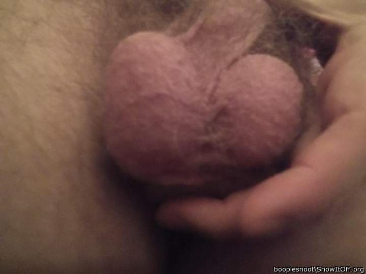 Testicles Photo from booplesnoot