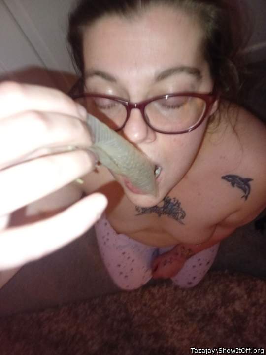 Adult image from Tazajay