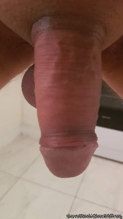 Adult image from shaved6inch
