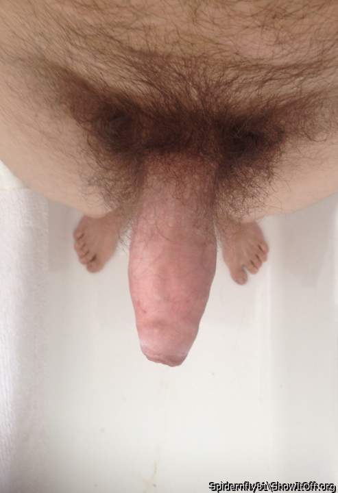 My thick swollen cock, ready to play