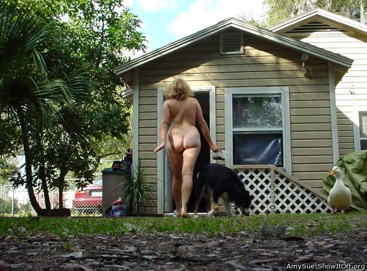 I liked to feed my pets in the yard every morning before getting dressed.