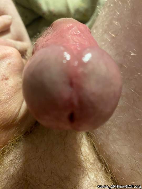 Adult image from Xavier_29