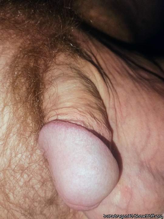 Adult image from Justadragon40