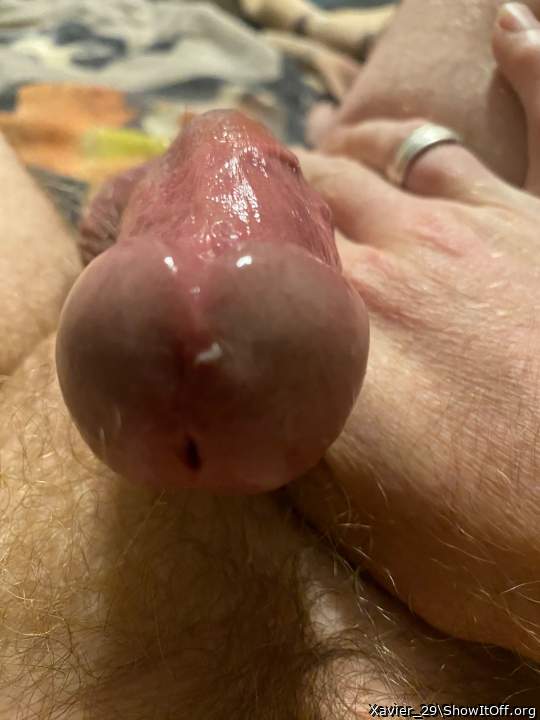 Adult image from Xavier_29