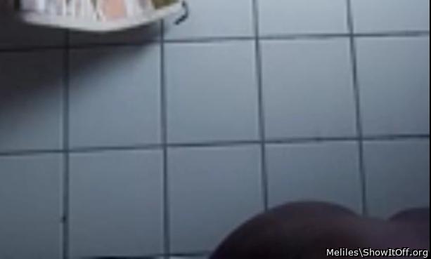 Adult image from Meliles