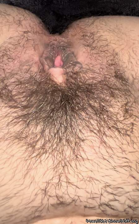 Photo of snatch from Powell511