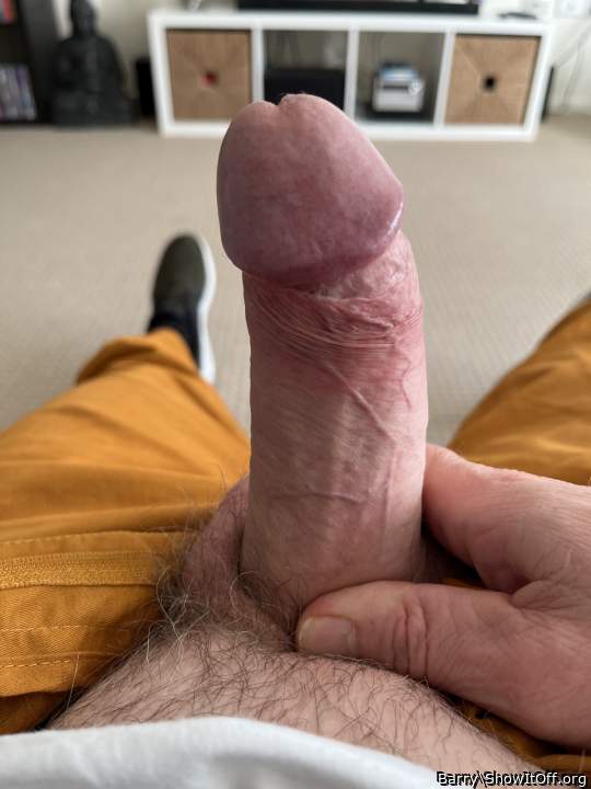 I'm glad you show your cock to us 