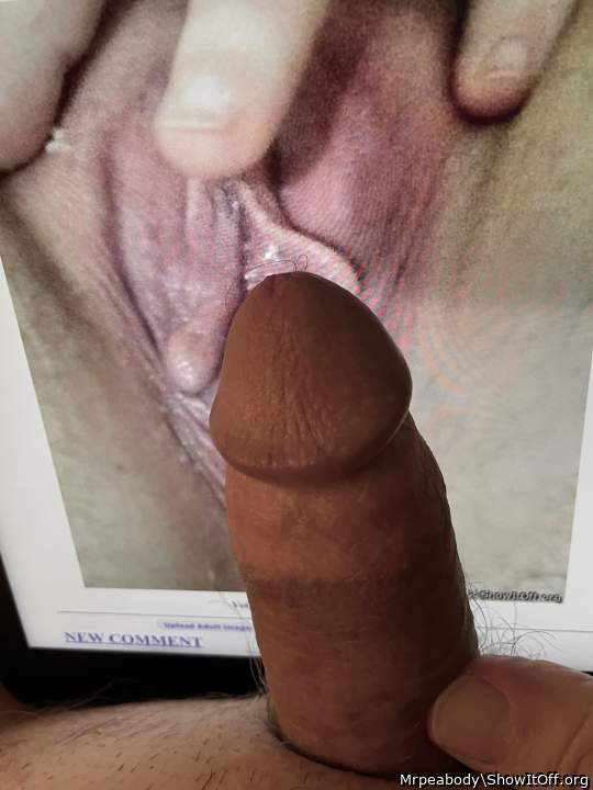 7 /member.php?w=536603