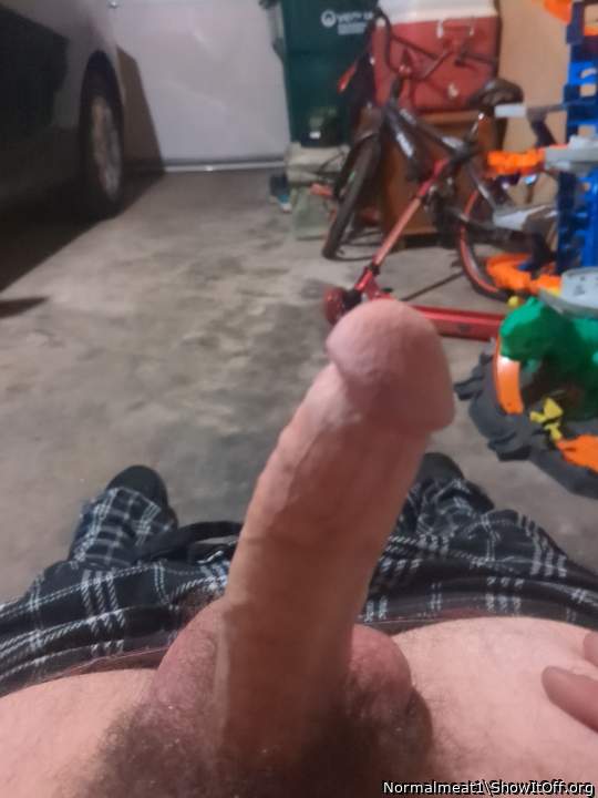 Adult image from Normalmeat1