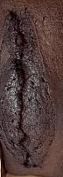photo of crotch