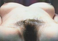 photo of piss flaps