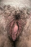 photo of hoochie