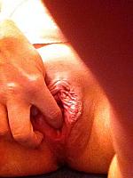 photo of rose